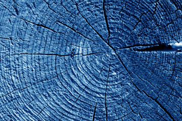 Old log cut macro in navy blue tone.