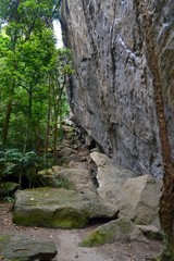 stone wall in the forest