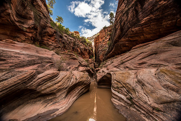 Trail to the Observation Point (Zion Canyon)