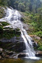 waterfall in the forest in rio de janeiro.  The greatest urban forest of the world