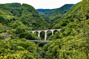 Fototapeta na wymiar Bridges among greenery in Montenegro, Europe.