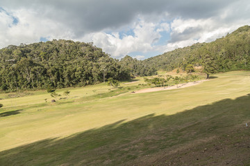 Golf in forest 