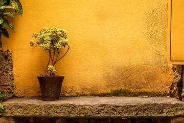 Foto op Aluminium Flowerpot in the street of Cinque Terre, Liguria, Italy © matiplanas