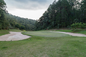 Golf in forest 