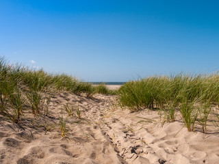 Dune covered with grass and some footprints in the front of the noth sea at the beach on the island Texel in the Netherlands