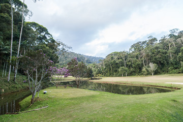 Fototapeta premium Golf in forest 