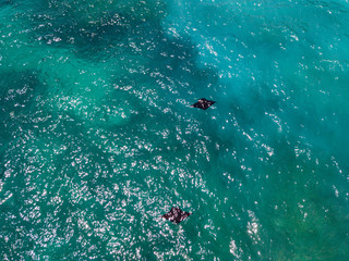 Aerial drone view of huge oceanic manta rays near Manta bay on Nusa Penida island.