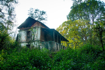 A old non leaving forest house in dense forest