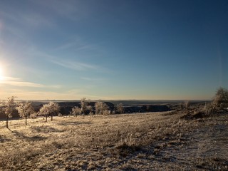 landscape with winter field and blue sky