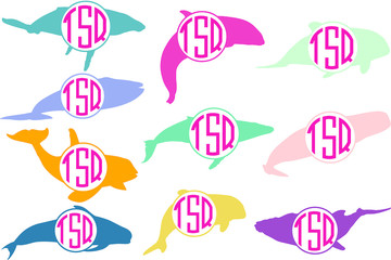 Whale silhouette - circle frame monogram. Vector icon isolated on white background - Vector