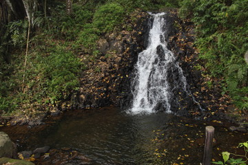 Cascade en foret tropicale