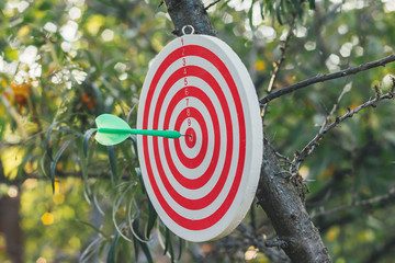 Success concept. Image of Dart hit the bull's eye