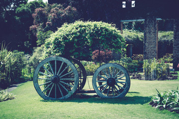 ビンテージ花壇