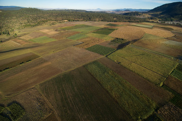 vista aerea de campos de cultivo