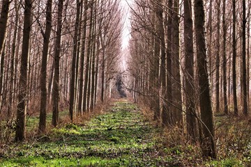 Découverte de la nature en foret