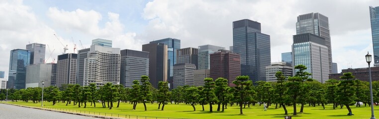 Obraz premium Beautiful Contrast in Tokyo