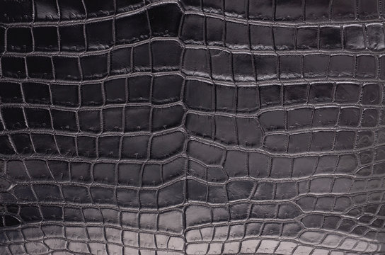 Texture di pelle di coccodrillo