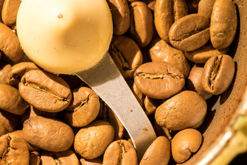 Macro photo of freshly ground coffee in electric coffee grinder. In one half whole grains of coffee, and in the other half ground.