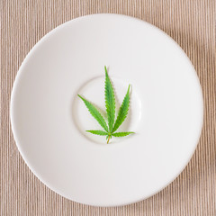 cannabis leaf on white plate. Top view. concept of marijuana use for medicinal purposes. to increase appetite and reduce pain.