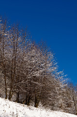 Winter view of  val thorens, one of the three vally that make the trois vallees , the biggest skiable region, France