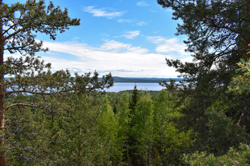 Mountains covered with lots of trees, especially pine trees, near a lake during a sunny, summer day.