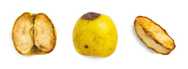 Set of spoiled apple or rotting apple isolated on white background