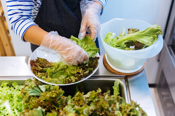 Fresh Salad bar counter with person's hands lifting Lettuce into a plate for healthy and diet meal with smooth light and shadow.
