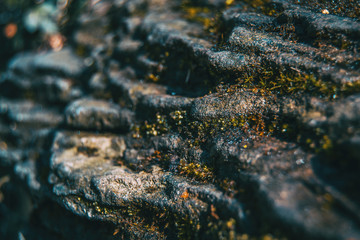 A stratum stone with some moss