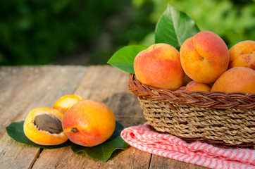 Delicious ripe apricots in a basket on rustic background. Healthy foods.