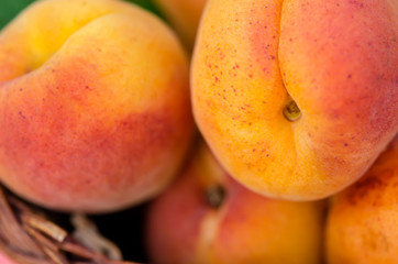 Delicious ripe apricots in a basket on rustic background. Healthy foods. Close up.