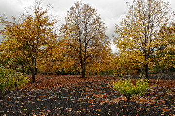 Otoño