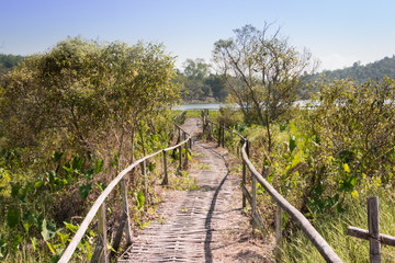Fototapeta na wymiar Bamboo walkway for nature trails in the lake