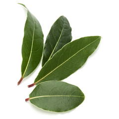 Aromatic bay leaves