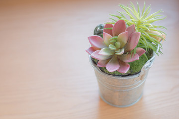 Small tree Leave space for text