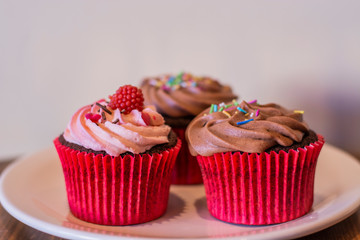 Fresh baked delicious different cupcakes served in white plate with wood background