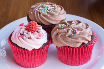 Fresh baked delicious different cupcakes served in white plate with wood background