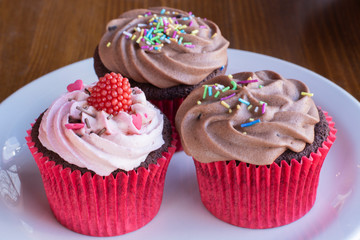 Fresh baked delicious different cupcakes served in white plate with wood background