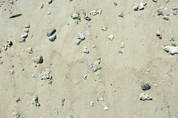 Sea sand on the beach of Phuket after low tide.