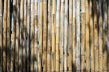A fence made of natural bamboo in a beach of Phuket.