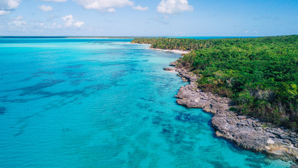 Aerial drone view of Saona Island in Punta Cana, Dominican Republic with reef, trees and beach in a tropical landscape with boats and vegetation