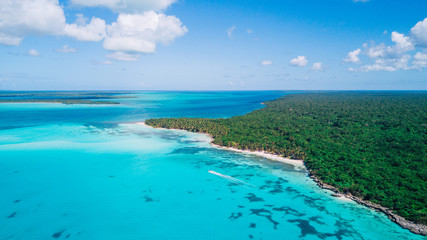 Aerial drone view of Saona Island in Punta Cana, Dominican Republic with reef, trees and beach in a tropical landscape with boats and vegetation