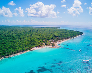 Aerial drone view of Saona Island in Punta Cana, Dominican Republic with reef, trees and beach in a...