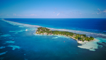 Fototapeta na wymiar Aerial Drone view of South Water Caye tropical island in Belize barrier reef. A typical Caribbean island with turquoise water