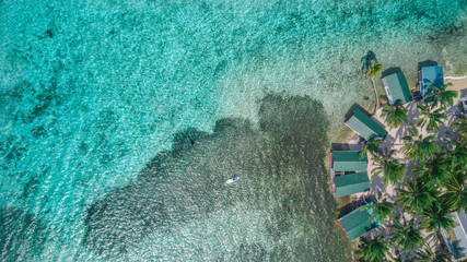 Aerial drone view of Tobacco Caye small Caribbean island with palm trees and bungalows in the Belize Barrier Reef