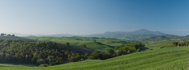 Fototapeta na wymiar Toscana view Panorama