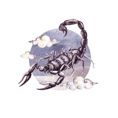 Foto auf Leinwand Zodiac sign - Scorpio. Watercolor Illustration © nataliahubbert