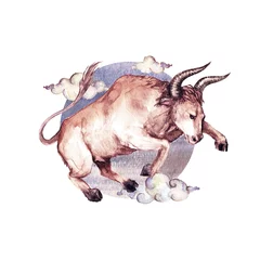 Poster Im Rahmen Zodiac sign - Taurus. Watercolor Illustration © nataliahubbert