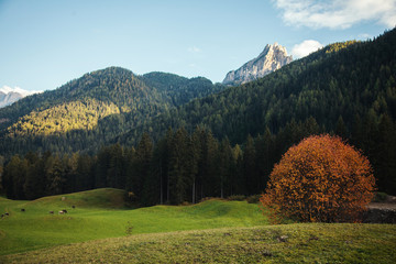 Mountain Landscape