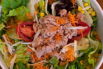 Tuna fish salad with fresh vegatables