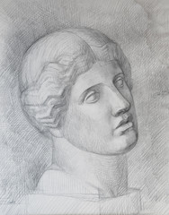 head statue of woman in figure sketch by pencil 
